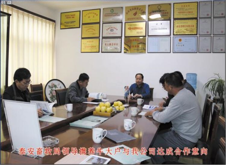 泰安畜牧局領(lǐng)導(dǎo)攜養(yǎng)牛大戶與我公司達(dá)成合作意向